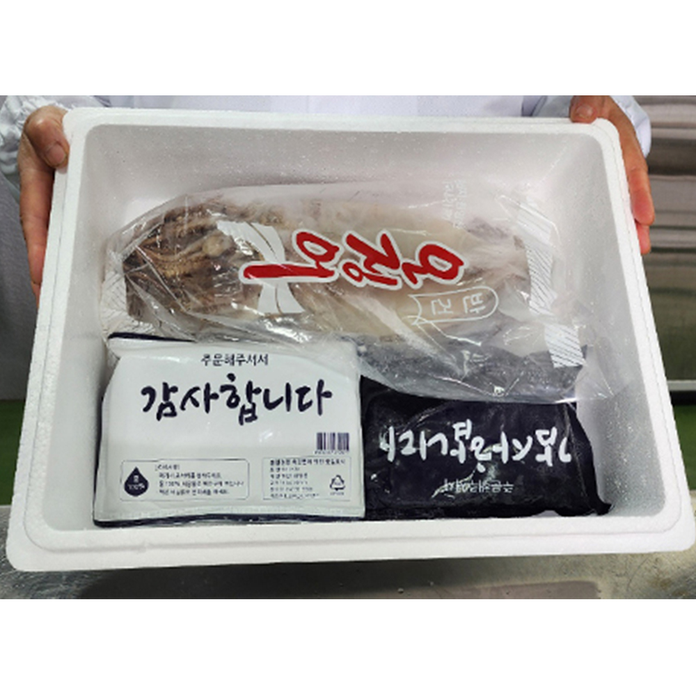 해풍으로 말린 구룡포 반건조오징어 10미 (중)1.2kg/(대)1.4kg